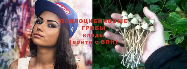 экстази Елизово